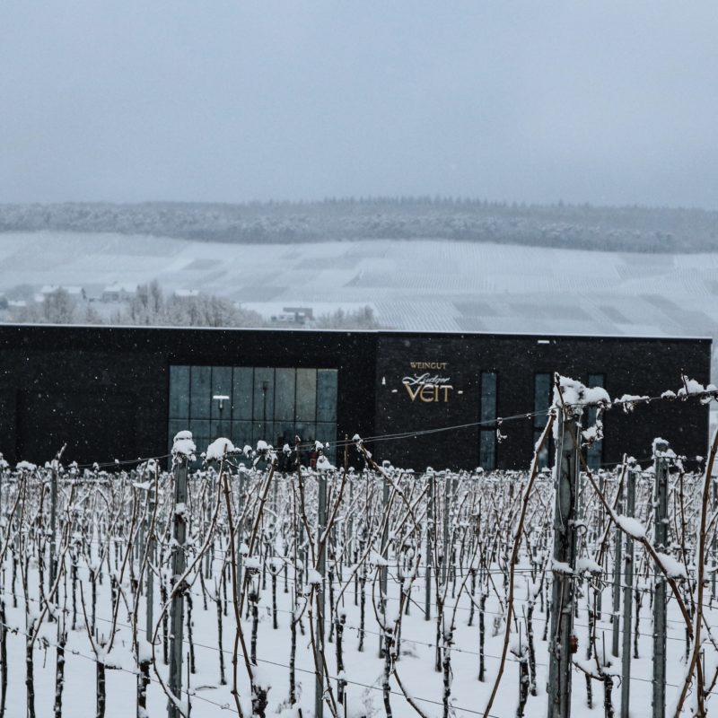 Moderne Dachdeckung bei Weingut Ludger Veit